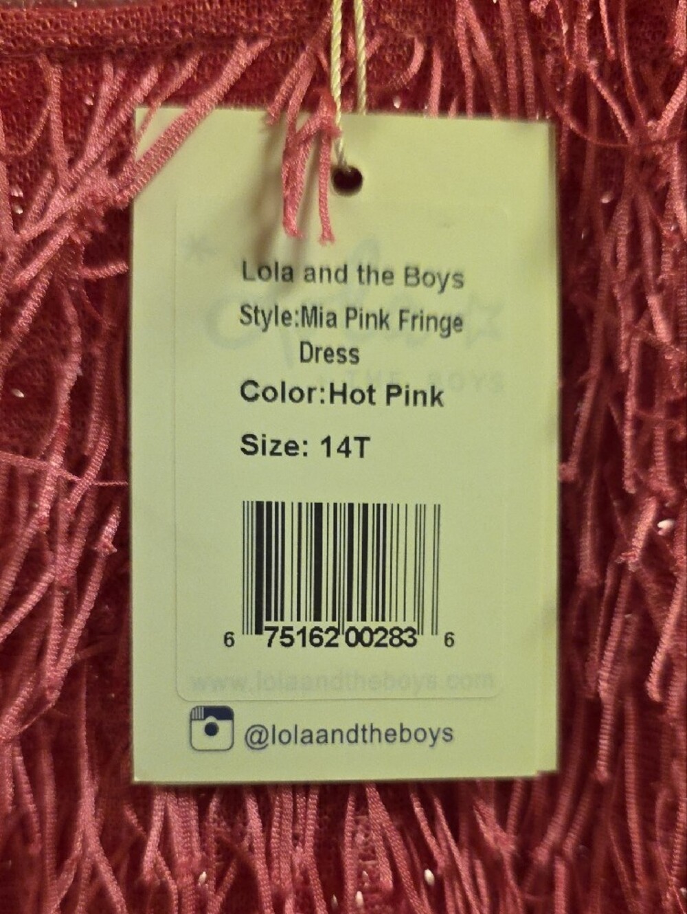 Lola + The Boys Bright Mia Pink Fringe A-Line Party Dress -  NWT Size 14T - Picture 3 of 10